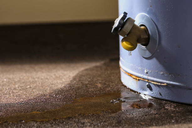 Best Water damage repair service  in Apollo, PA