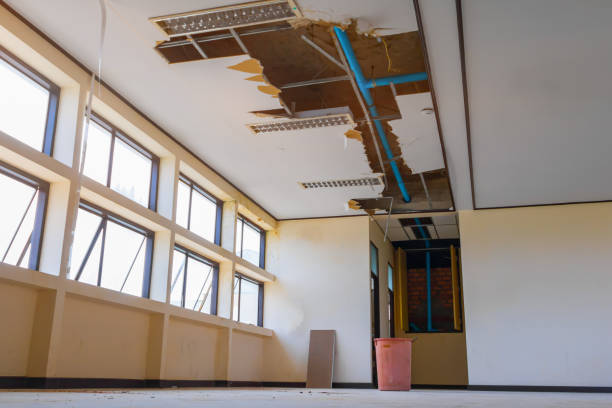 Water damage restoration mold remediation in Apollo, PA