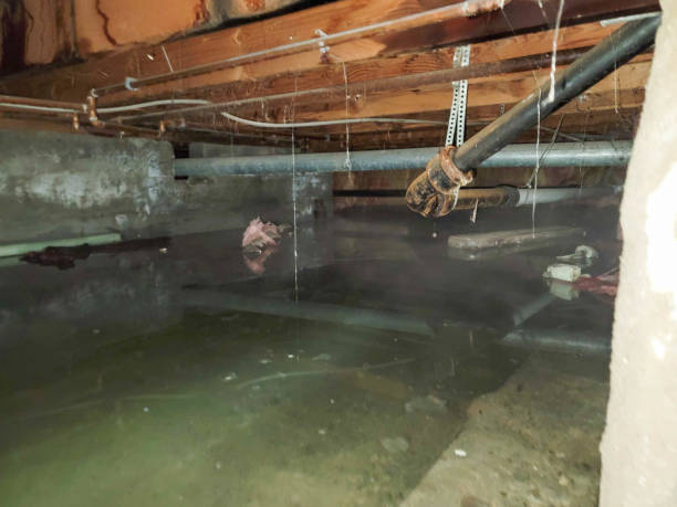 Best Emergency water damage restoration  in Apollo, PA