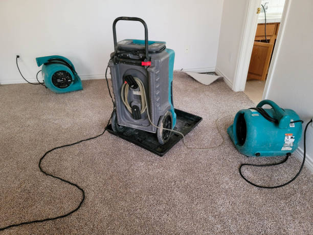 Best Emergency water damage restoration  in Apollo, PA