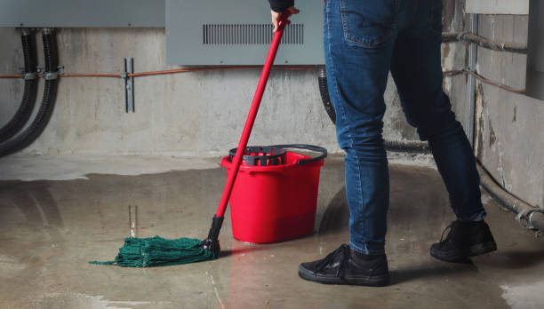 Trusted Apollo, PA Water damage restoration Experts