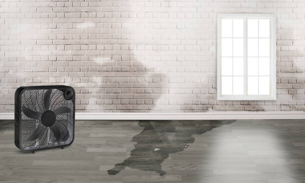 Local water damage restoration in Apollo, PA