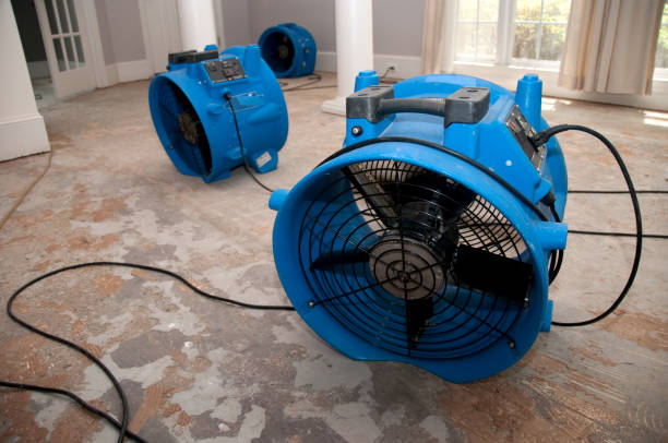 Best Sewage cleanup and water damage restoration  in Apollo, PA