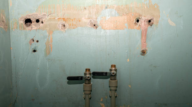 Best Flood restoration services  in Apollo, PA
