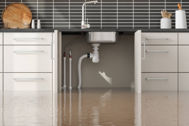 Best Commercial water damage restoration  in Apollo, PA