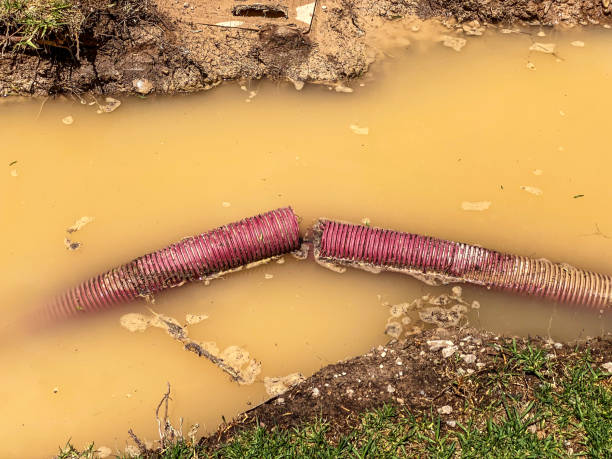 Carpet water damage restoration in Apollo, PA