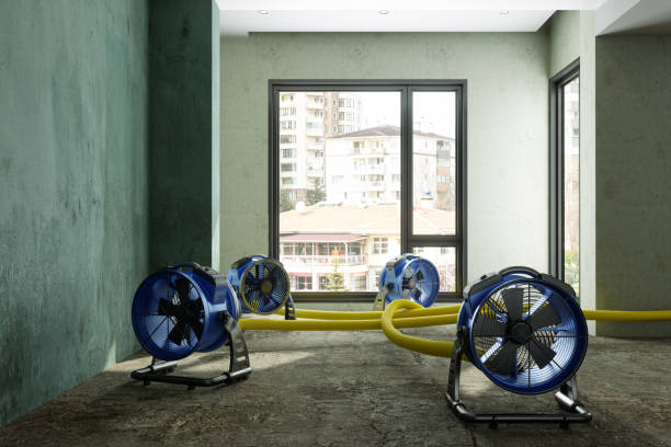 Best Carpet water damage restoration  in Apollo, PA