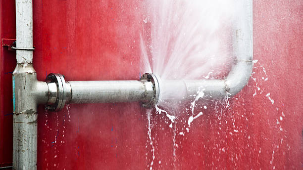 Best Flooded house restoration  in Apollo, PA