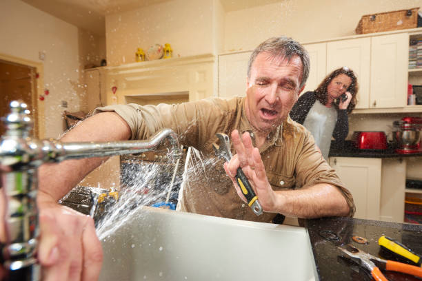 Best Basement water damage restoration  in Apollo, PA